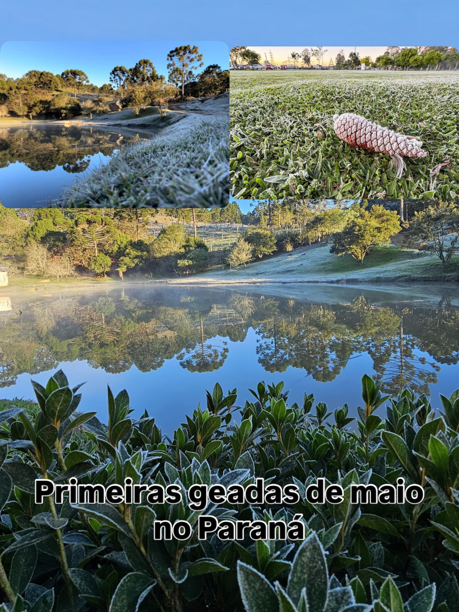 Portal News dv